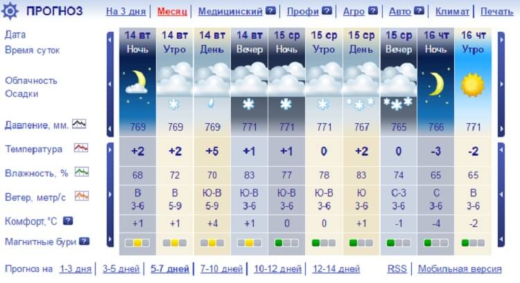 Погода в сочи на месяц 2024 года. Погода в Сочи. Погода в Сочи на 14. Погода в Сочи на неделю на 14. Прогноз погоды в Сочи.