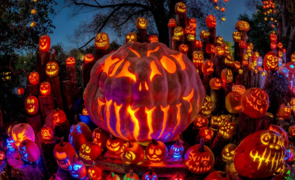 Как отмечают Хэллоуин в Сочи парке в 2019 году