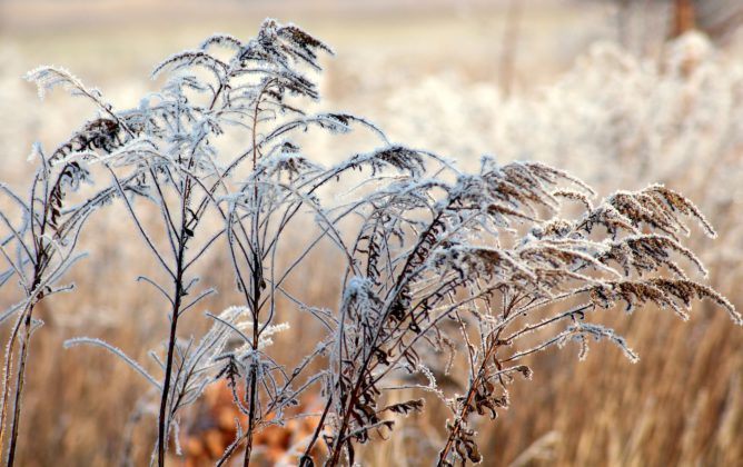 Зимние каникулы в Сочи: какой будет погода в 2022 году