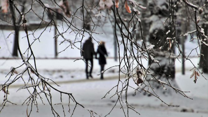 Дневник погоды: каким будет февраль в Сочи